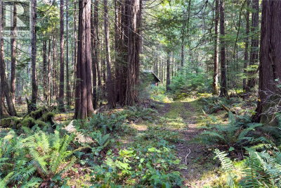 1572 Squirrel Cove Road | Cortes Island British Columbia | Slide Image Twenty