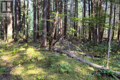 1572 Squirrel Cove Road | Cortes Island British Columbia | Slide Image Twenty-four
