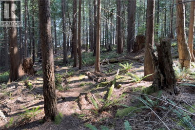 1572 Squirrel Cove Road | Cortes Island British Columbia | Slide Image Twenty-eight