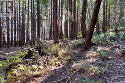 1572 Squirrel Cove Road | Cortes Island British Columbia | Slide Image Twenty-nine