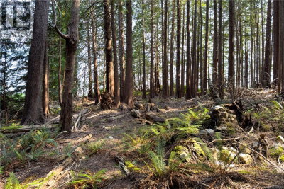 1572 Squirrel Cove Road | Cortes Island British Columbia | Slide Image Thirty