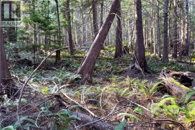 1572 Squirrel Cove Road | Cortes Island British Columbia | Slide Image Thirty-two