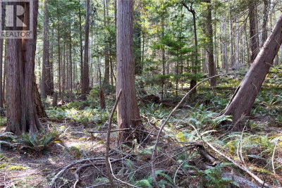 1572 Squirrel Cove Road | Cortes Island British Columbia | Slide Image Thirty-three