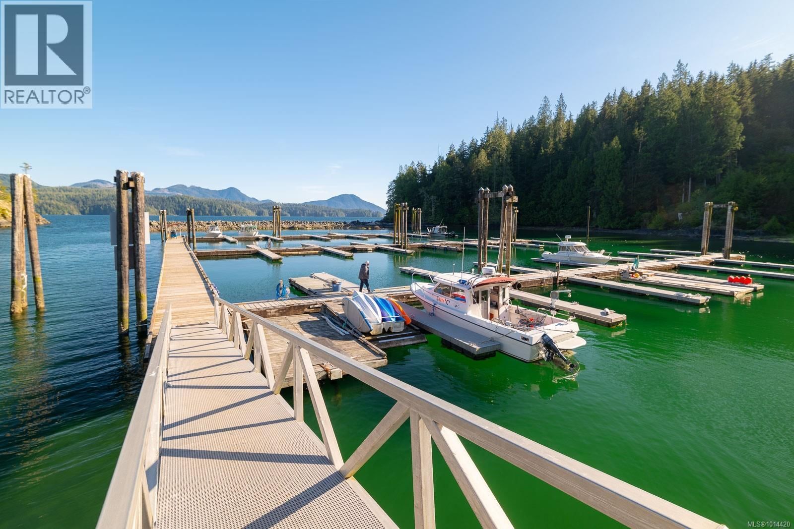 29 HAGGARD COVE Image 8