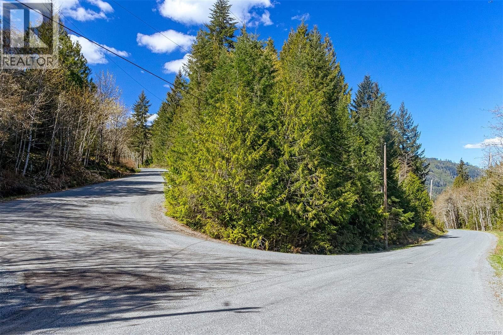 Lot 12 Mountain Road property photo