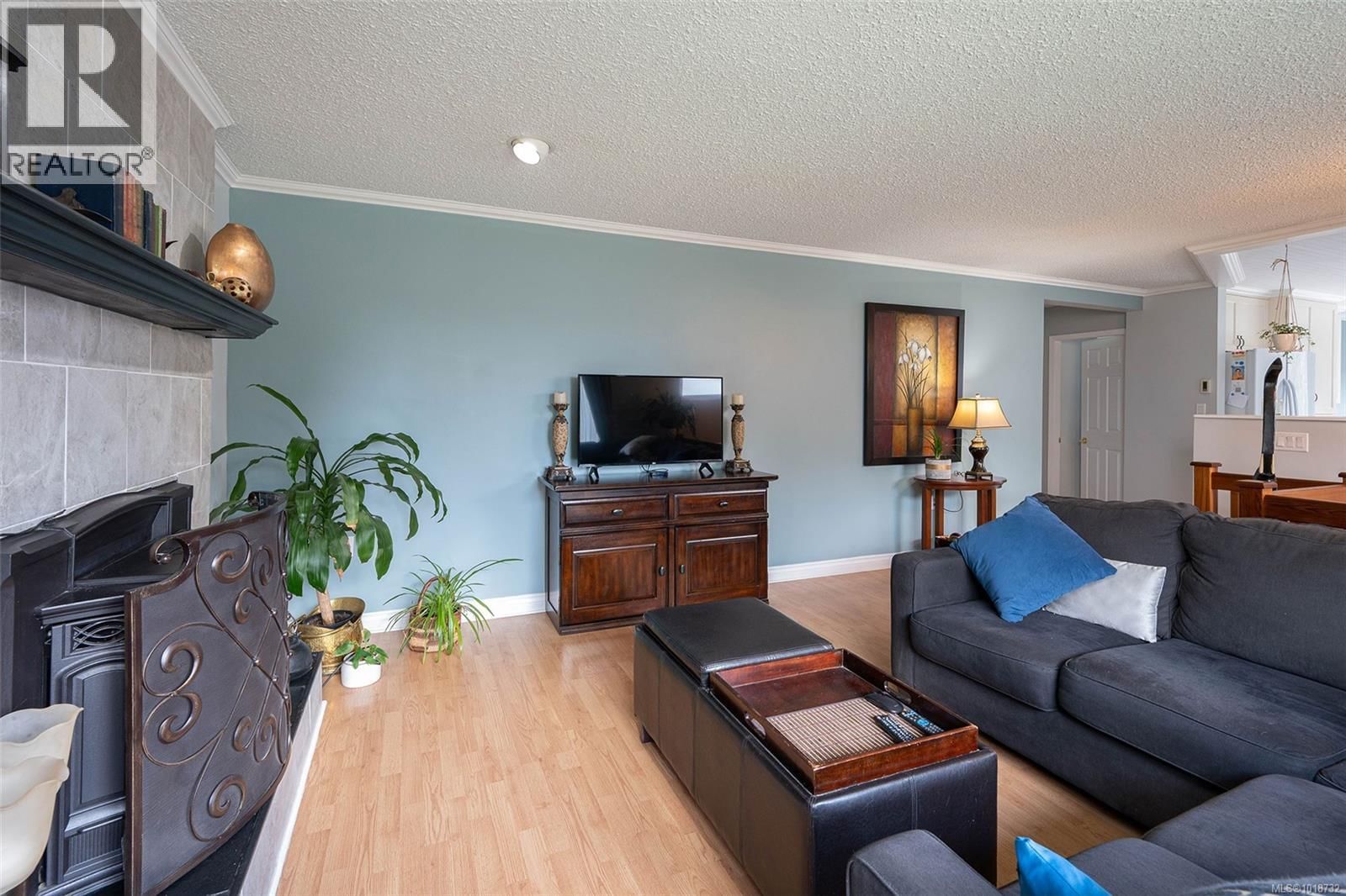 10654 Youbou Road property photo