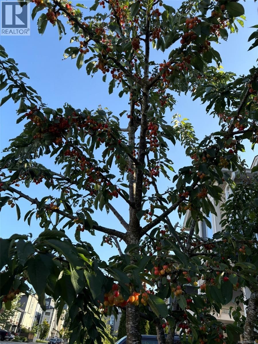 3354 VISION WAY Image 40