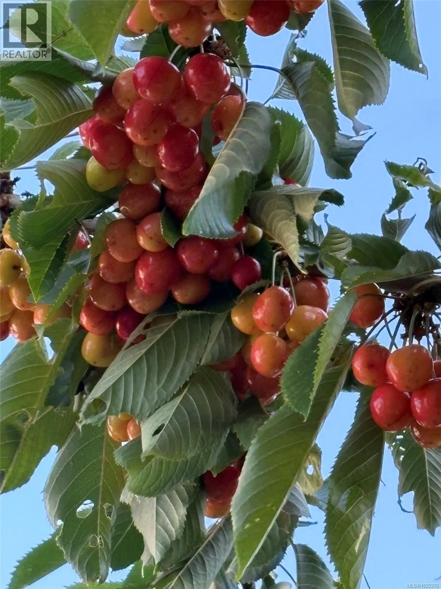 3354 VISION WAY Image 41