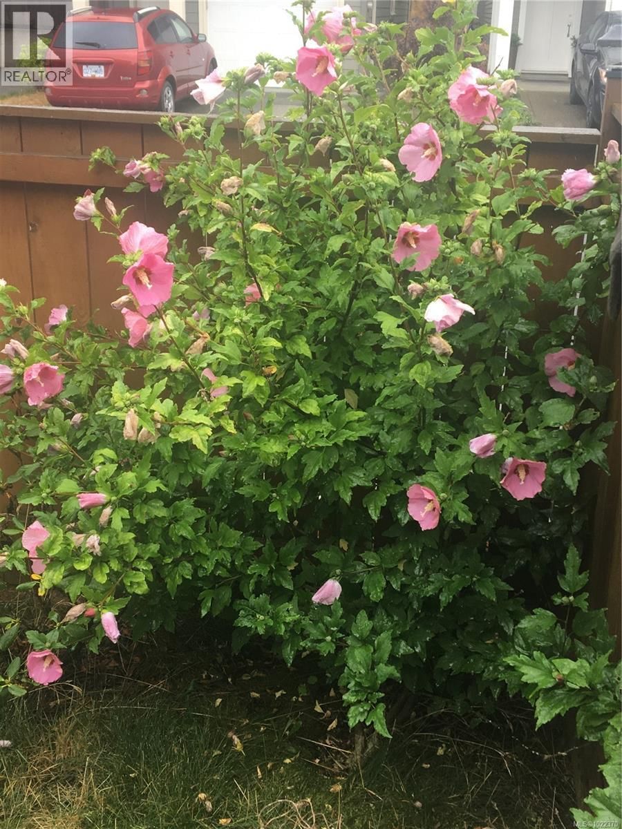 3354 VISION WAY Image 48