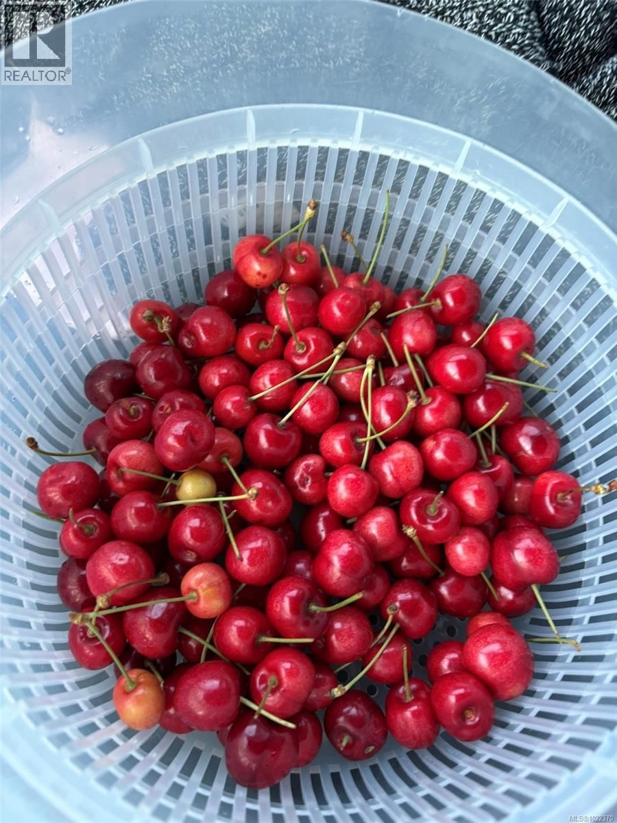 3354 VISION WAY Image 54