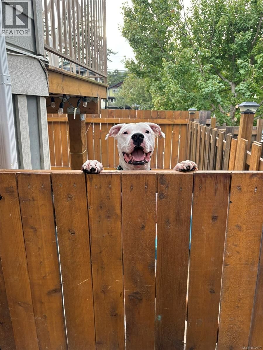 3354 VISION WAY Image 56