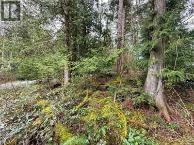 Lt 37 Dirksen Road | Gabriola Island British Columbia | Slide Image Ten