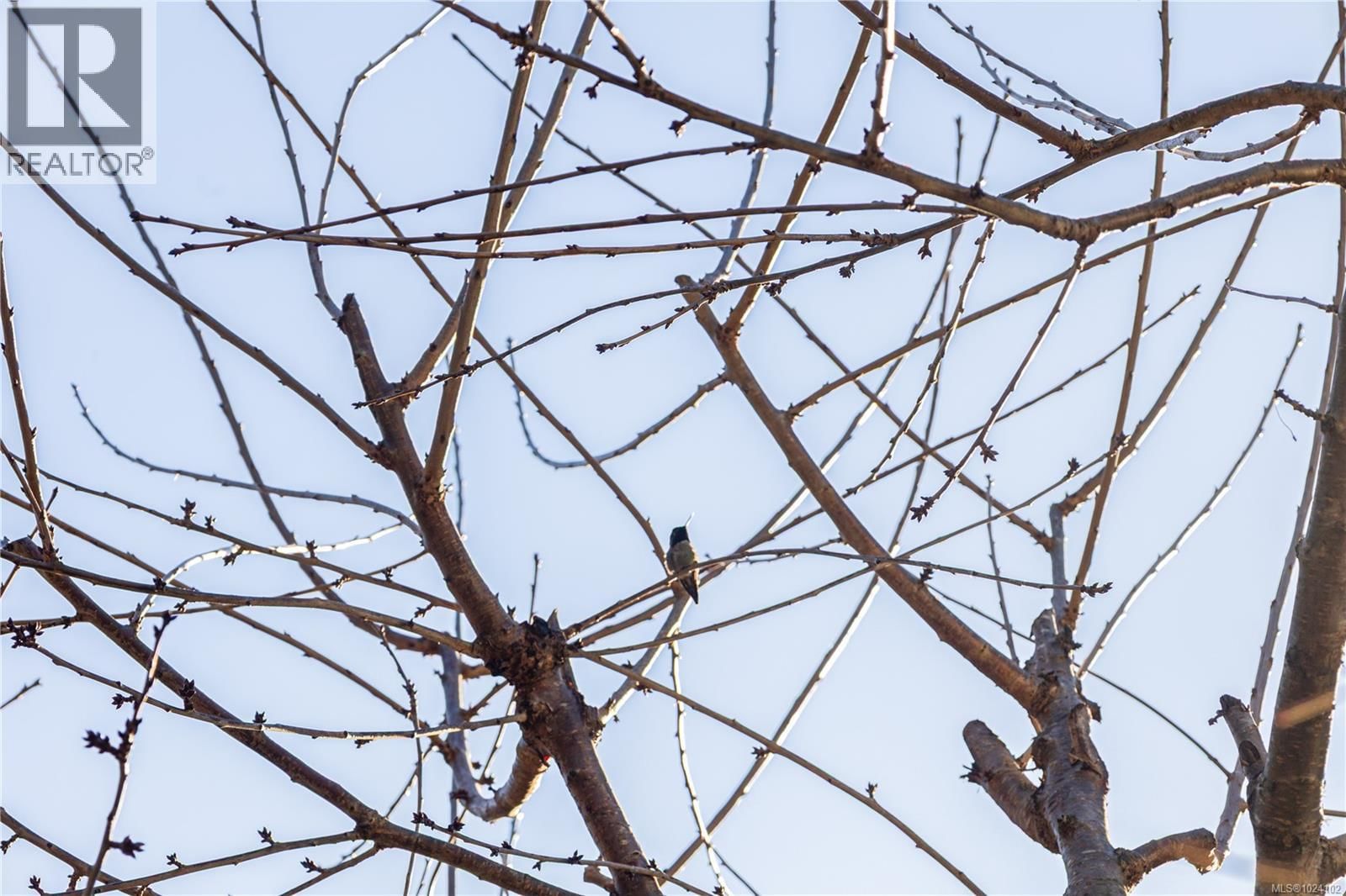 4496 GARY LANE Image 33