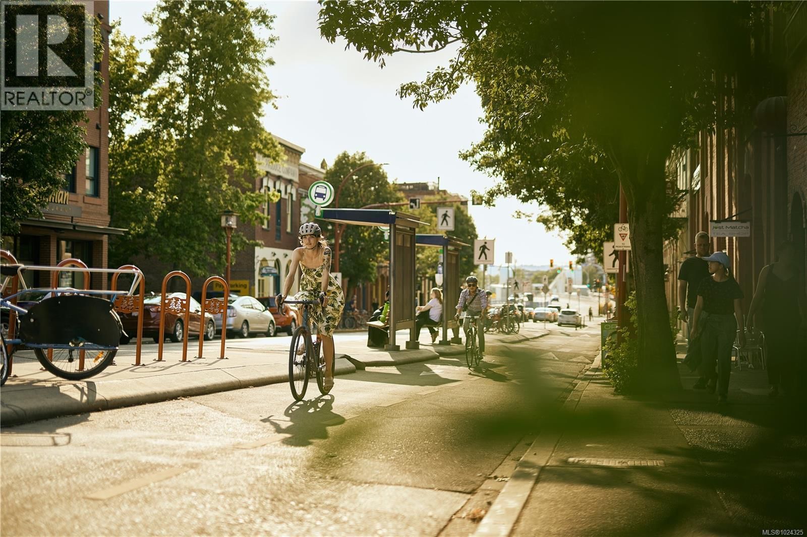 201 - 1075 TILLICUM ROAD Image 19