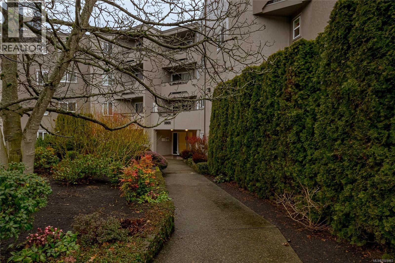 206 3800 Quadra Street property photo