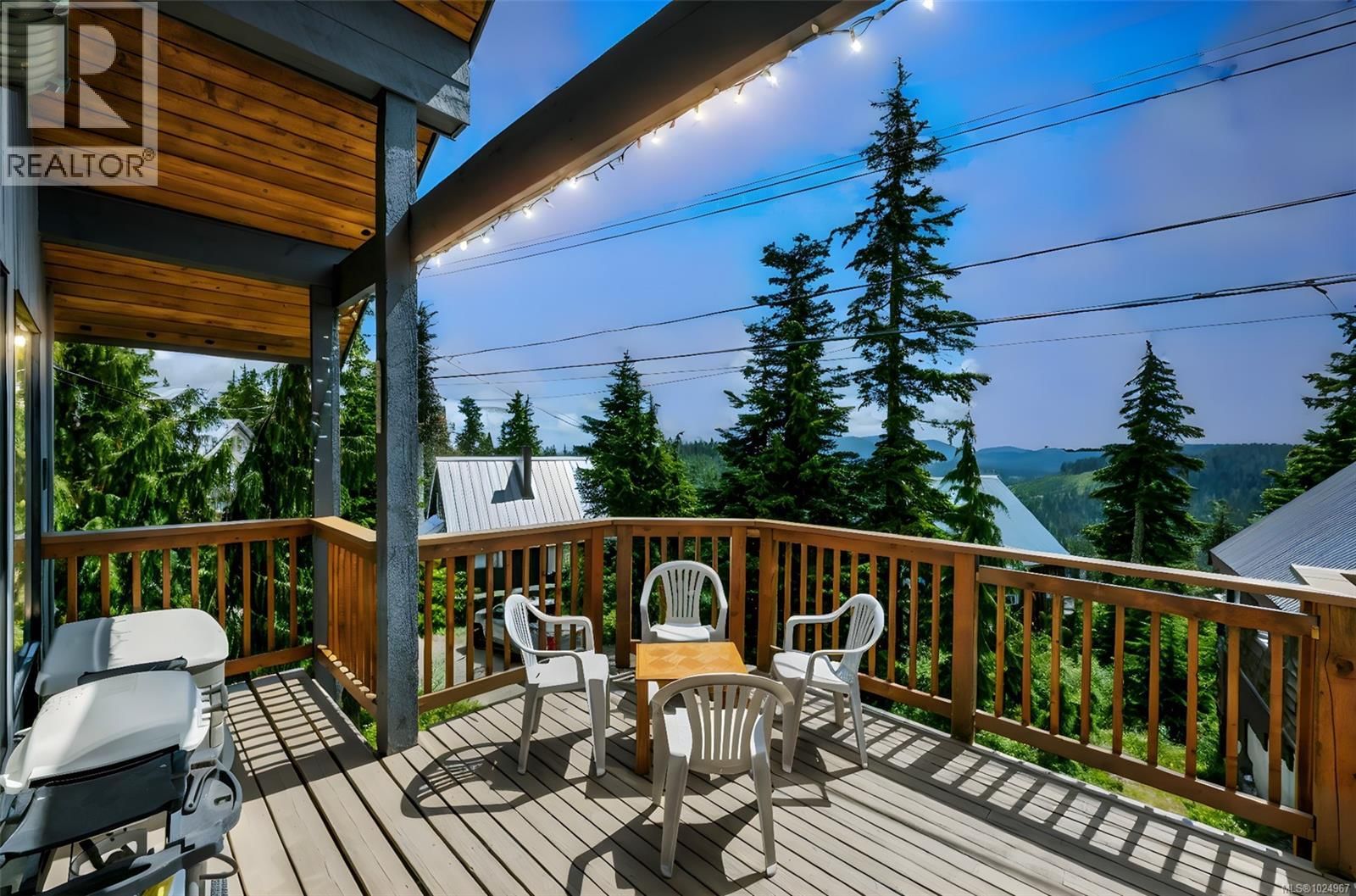 886 JUTLAND TERRACE Image 37