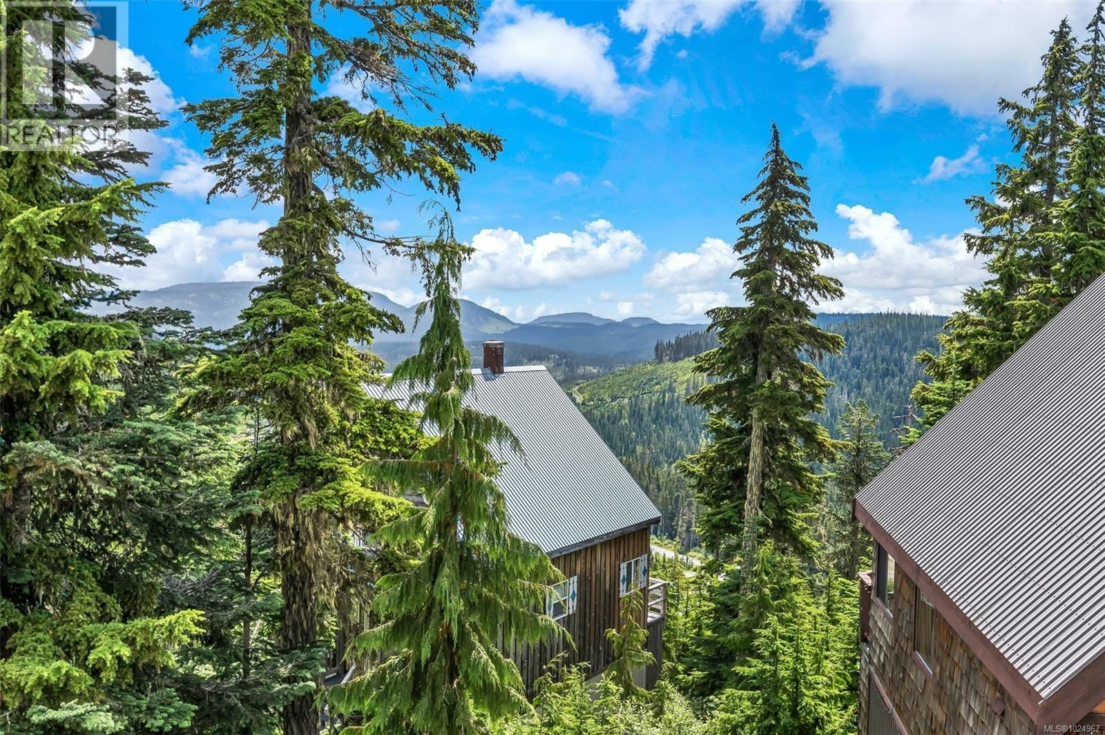 886 JUTLAND TERRACE Image 41