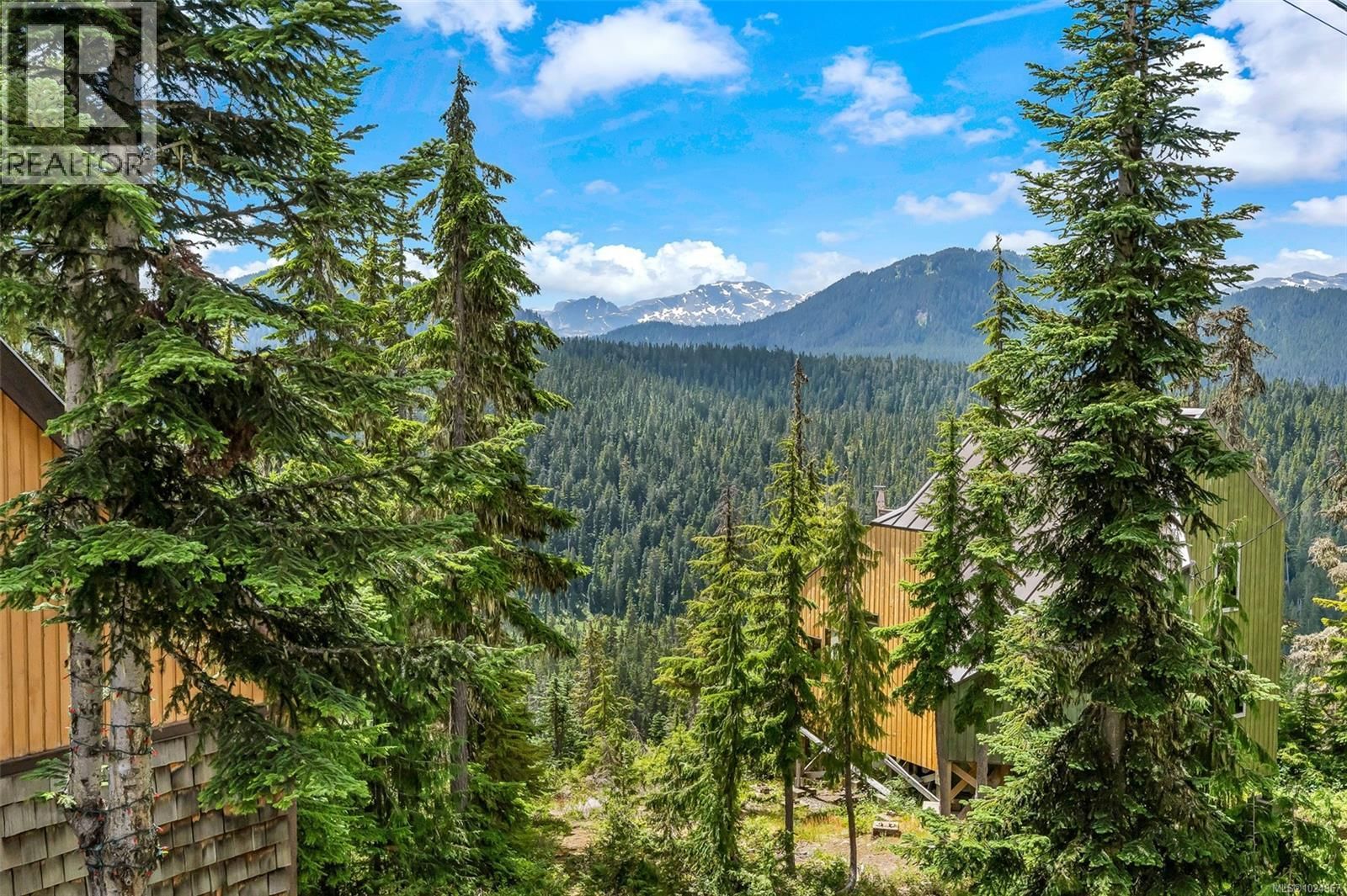 886 JUTLAND TERRACE Image 42