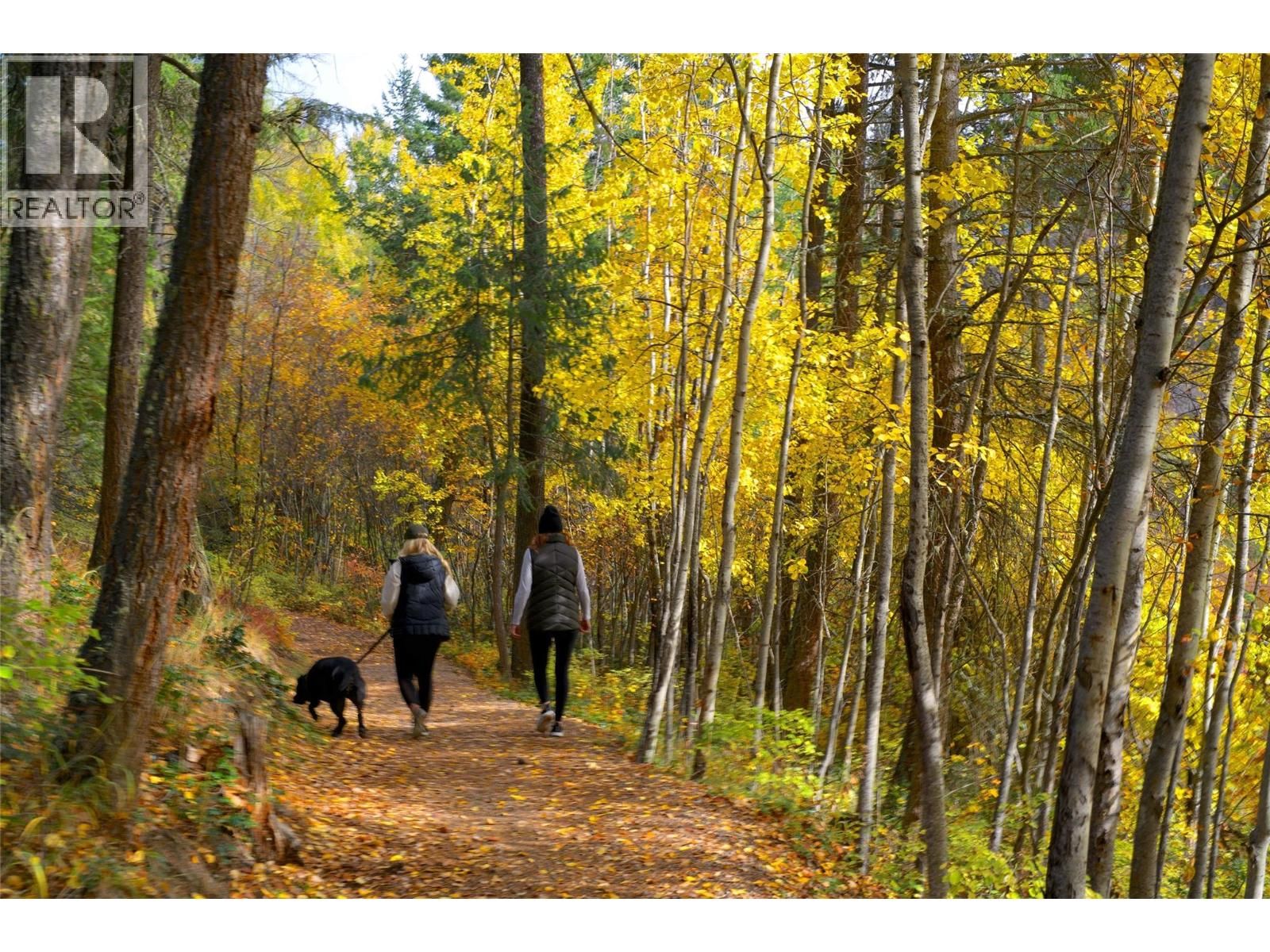 164 WILDSONG CRESCENT Image 57