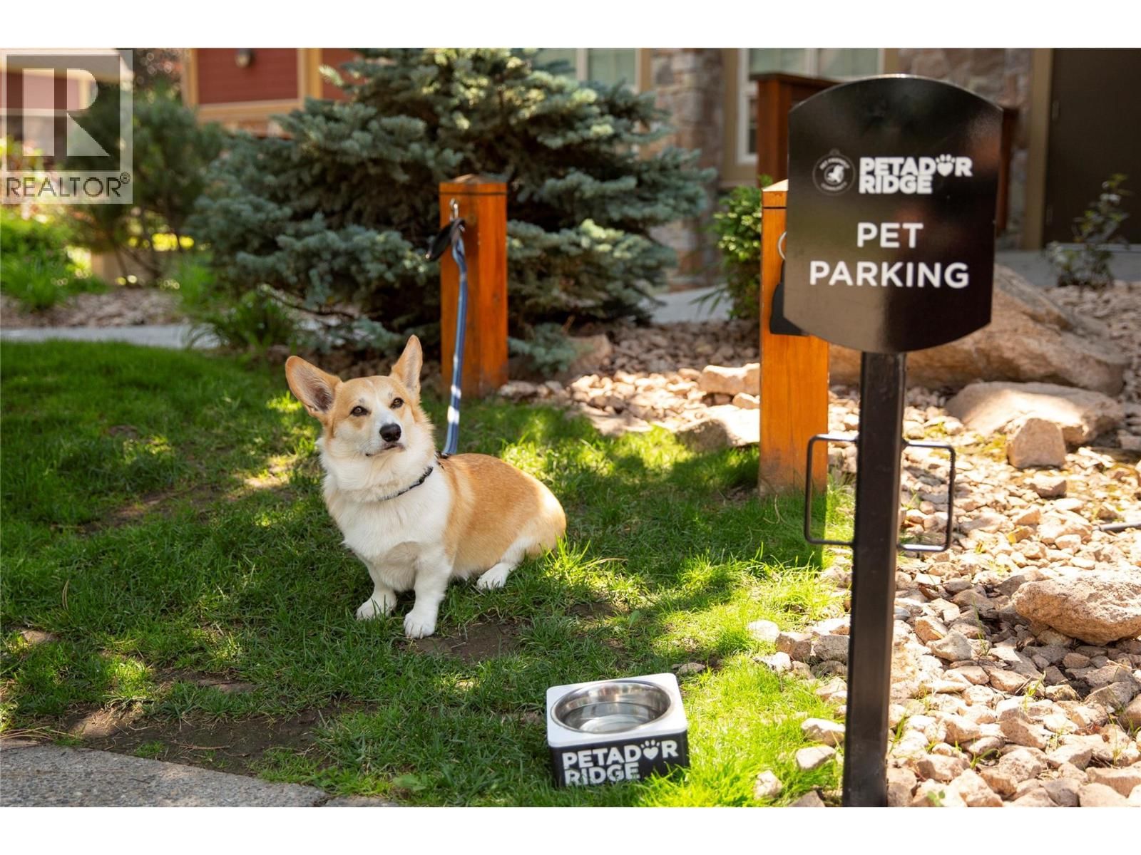 164 WILDSONG CRESCENT Image 63