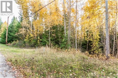 Image #1 of Commercial for Sale at Lot 174 Anglemont Drive, Anglemont, British Columbia