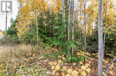 Image #1 of Commercial for Sale at Lot 174 Anglemont Drive, Anglemont, British Columbia