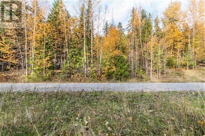 Image #1 of Commercial for Sale at Lot 174 Anglemont Drive, Anglemont, British Columbia