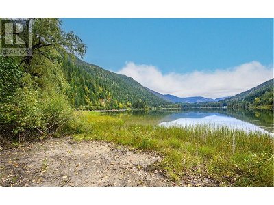 Image #1 of Commercial for Sale at 7788 Trans Canada Highway, Revelstoke, British Columbia