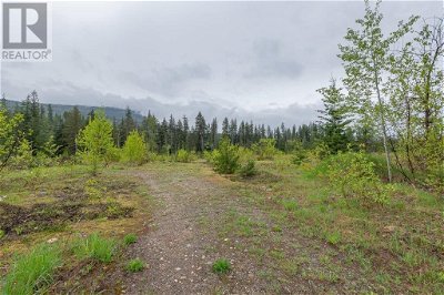 Image #1 of Commercial for Sale at 4103 Balsam Way, Malakwa, British Columbia
