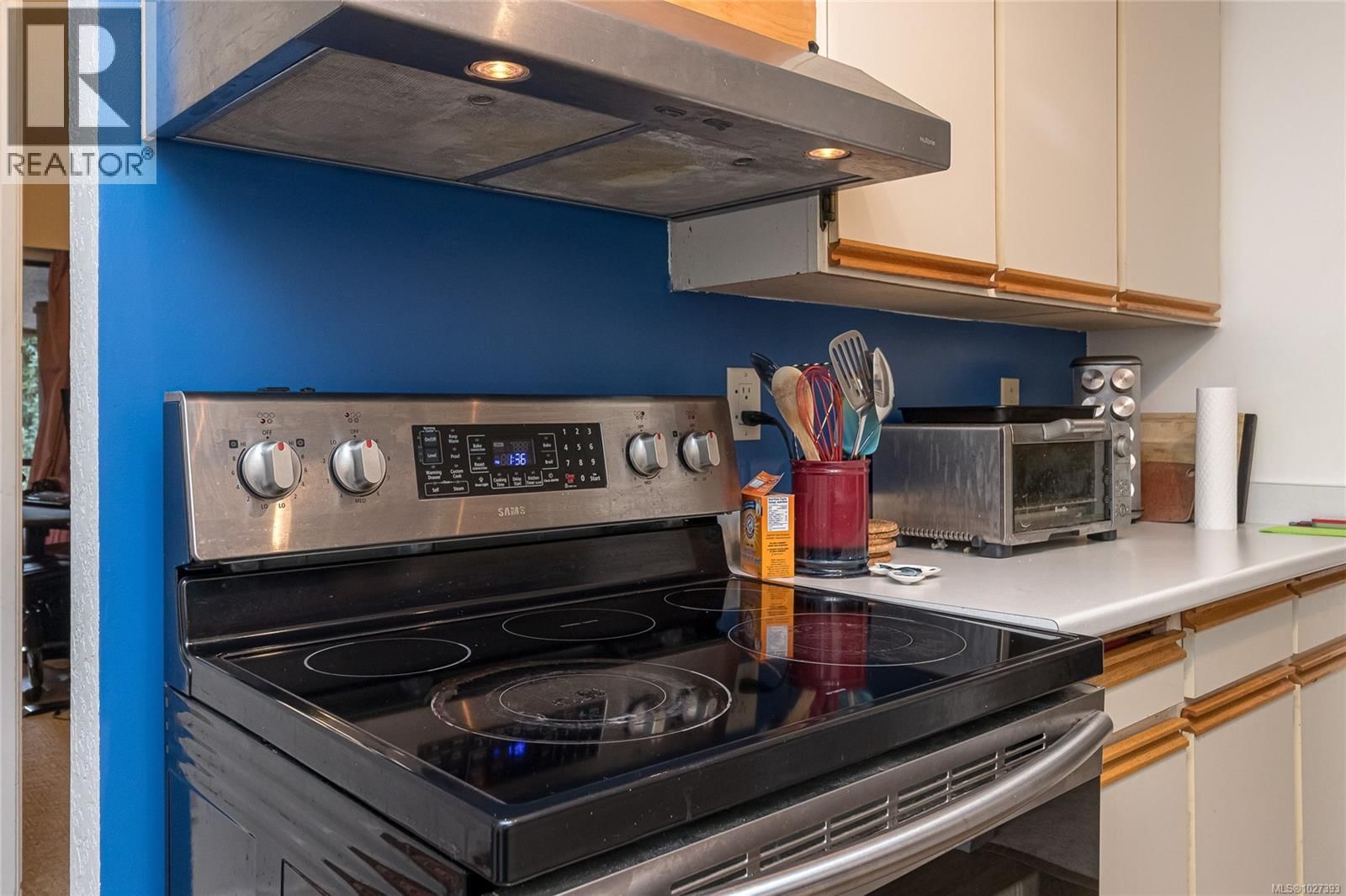 419 - 1005 MCKENZIE AVENUE Image 17