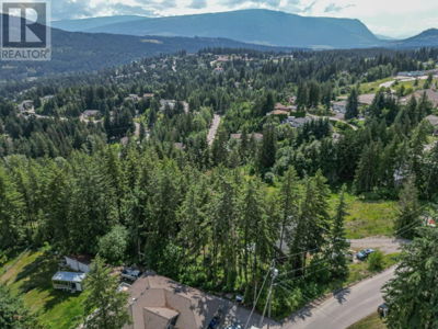 Commercial for Sale in British-columbia