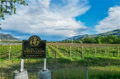 Vineyards Wineries for Sale