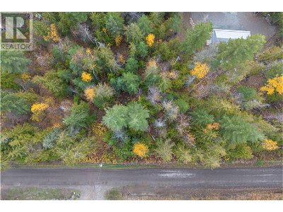 Image #1 of Commercial for Sale at Lot 119 Crowfoot Drive, Anglemont, British Columbia