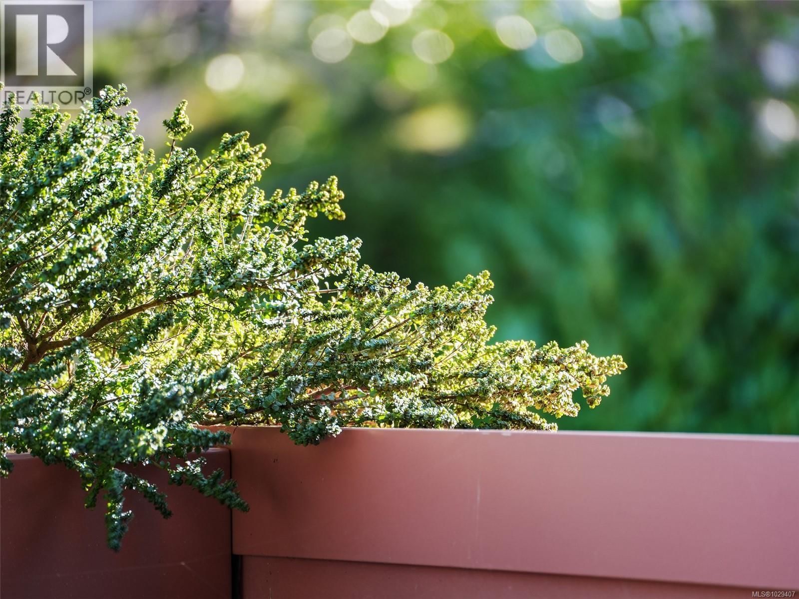 203 - 430 PARRY STREET Image 26