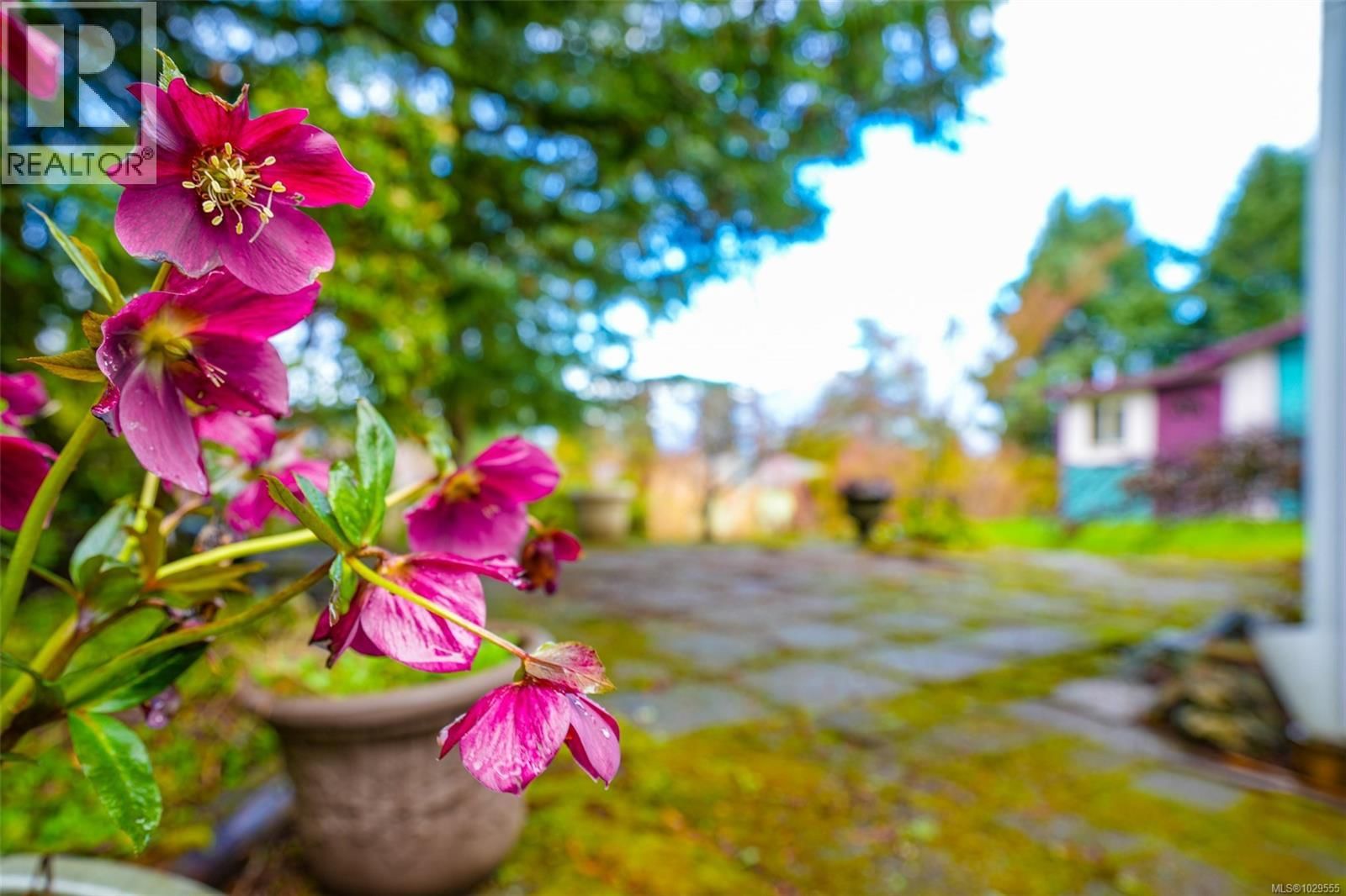 2552 14TH AVENUE Image 30