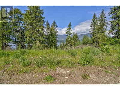 Image #1 of Commercial for Sale at 3541 20 Street Ne, Salmon Arm, British Columbia