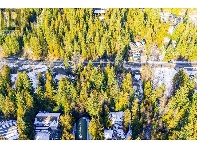 Image #1 of Commercial for Sale at L 197 Estate Place, Anglemont, British Columbia