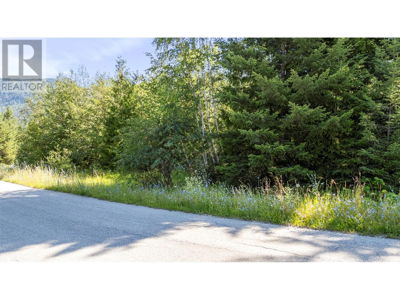 Commercial for Sale in British-columbia