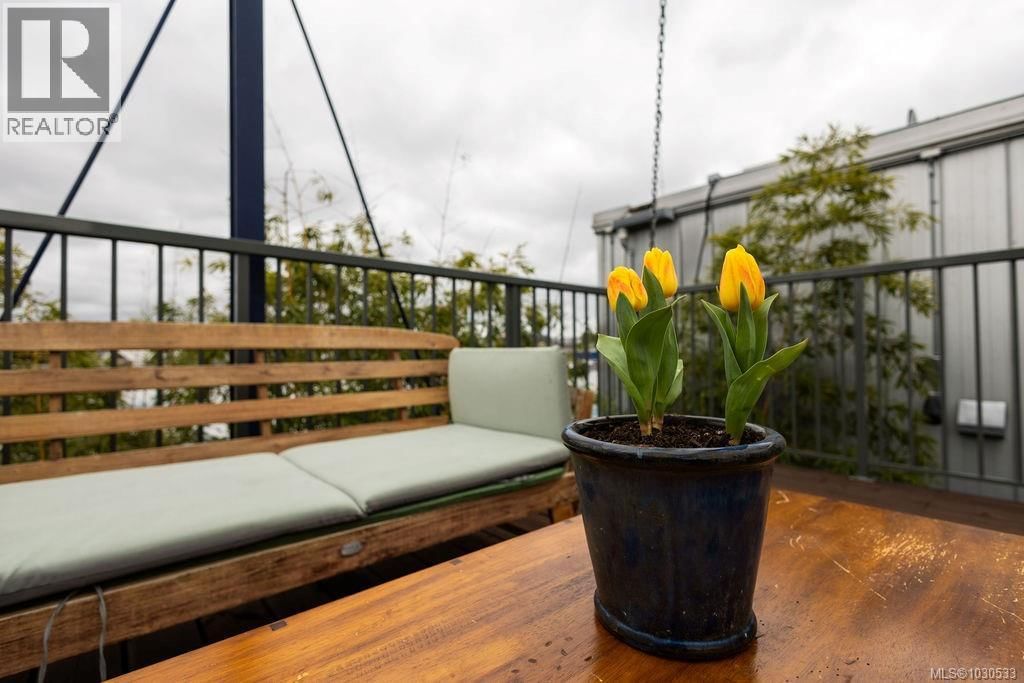 3112 STEELE STREET Image 35