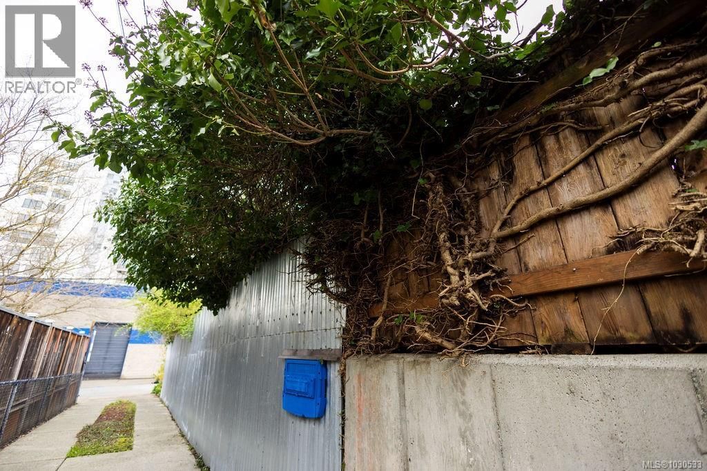 3112 STEELE STREET Image 73