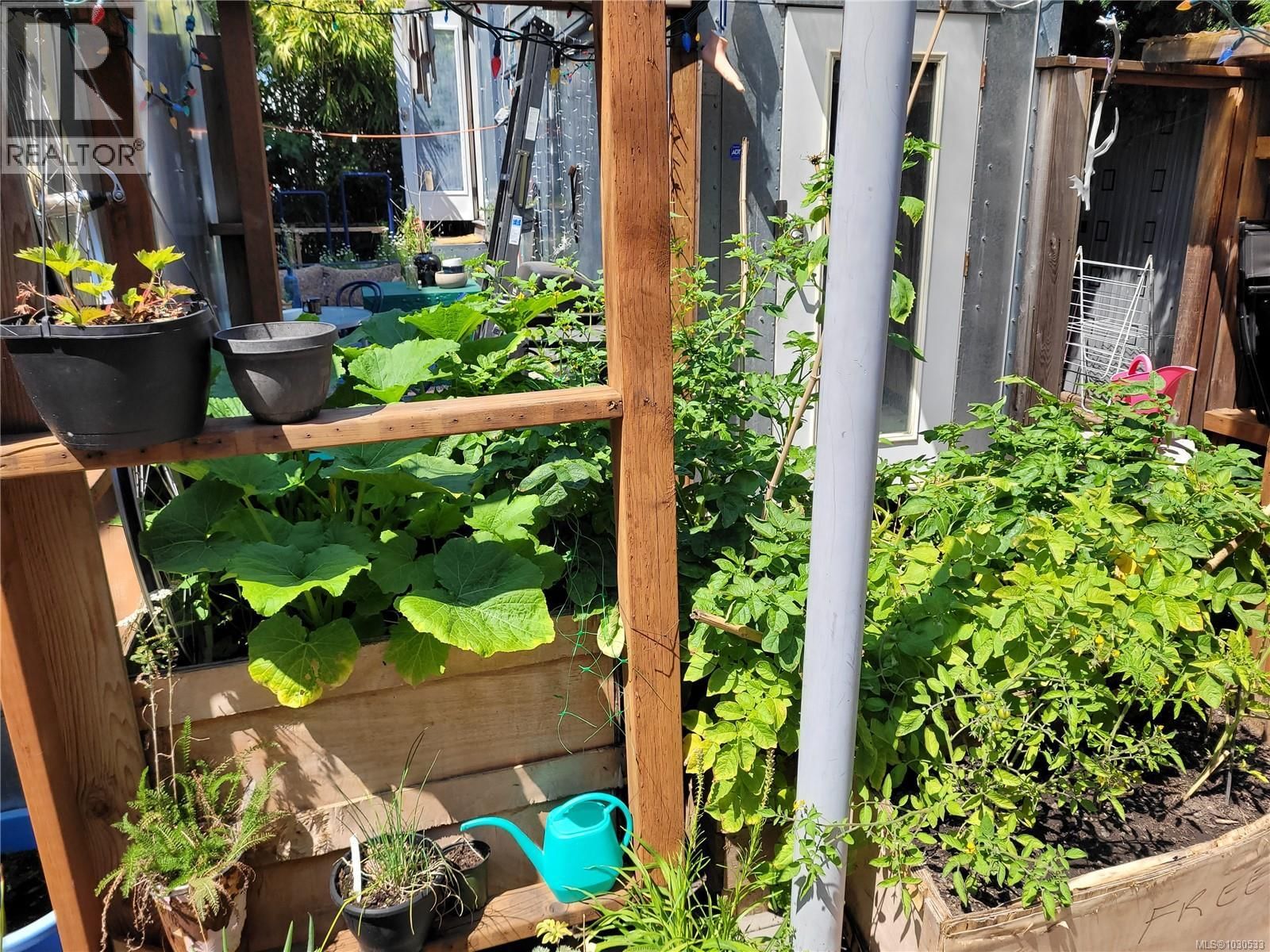 3112 STEELE STREET Image 74