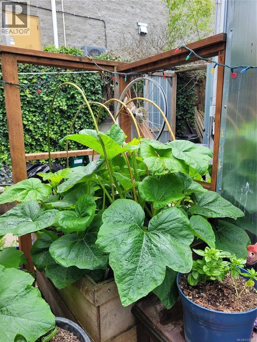 3112 STEELE STREET Image 75