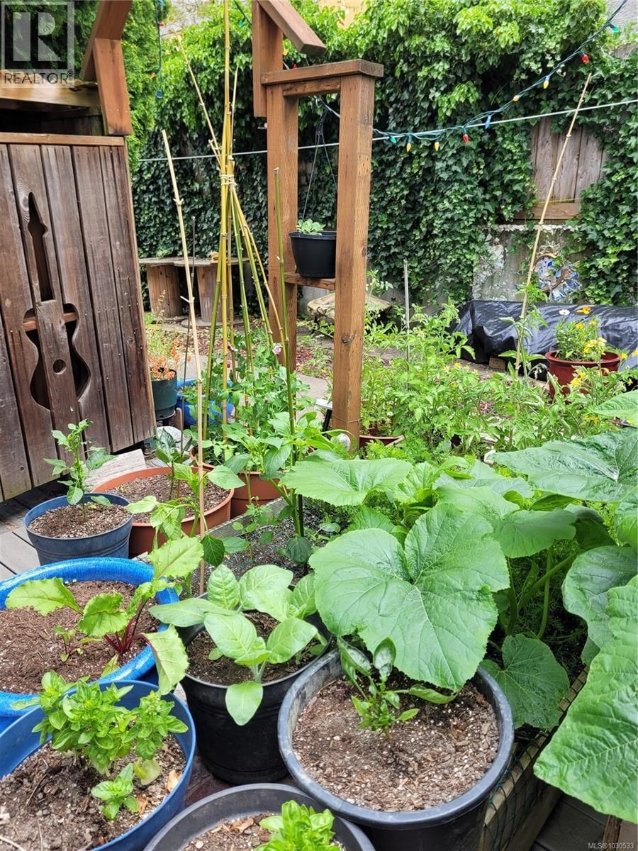 3112 STEELE STREET Image 76