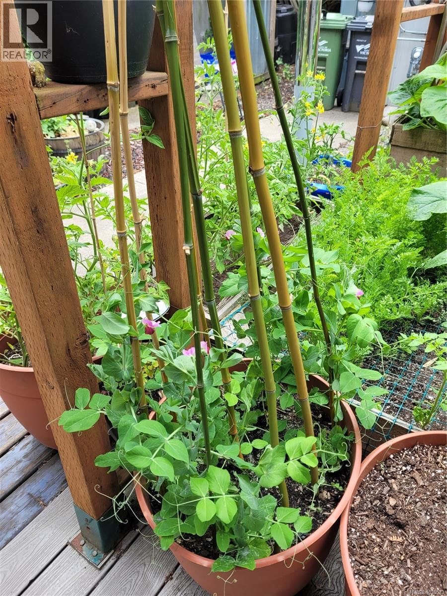 3112 STEELE STREET Image 77