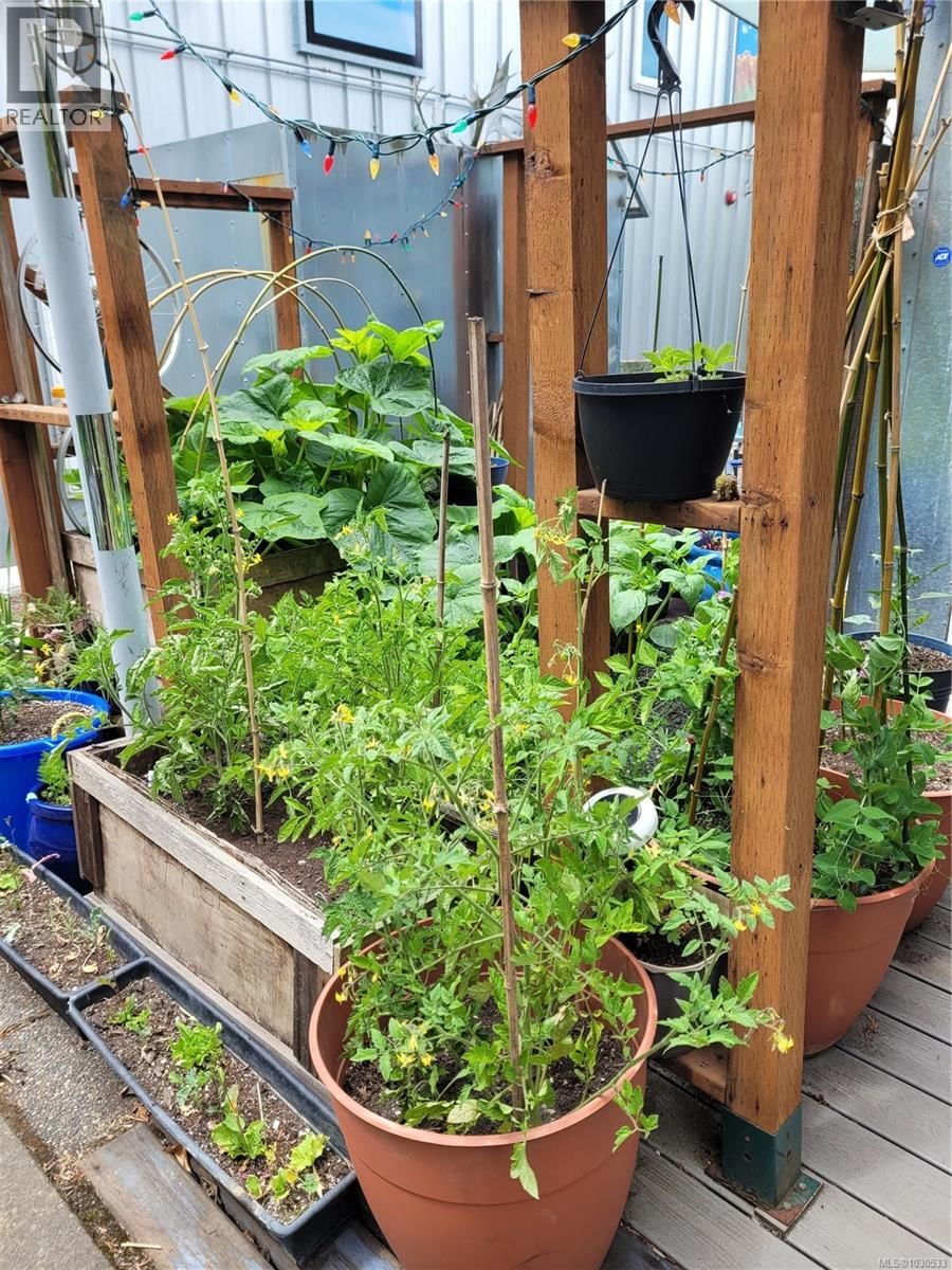 3112 STEELE STREET Image 78