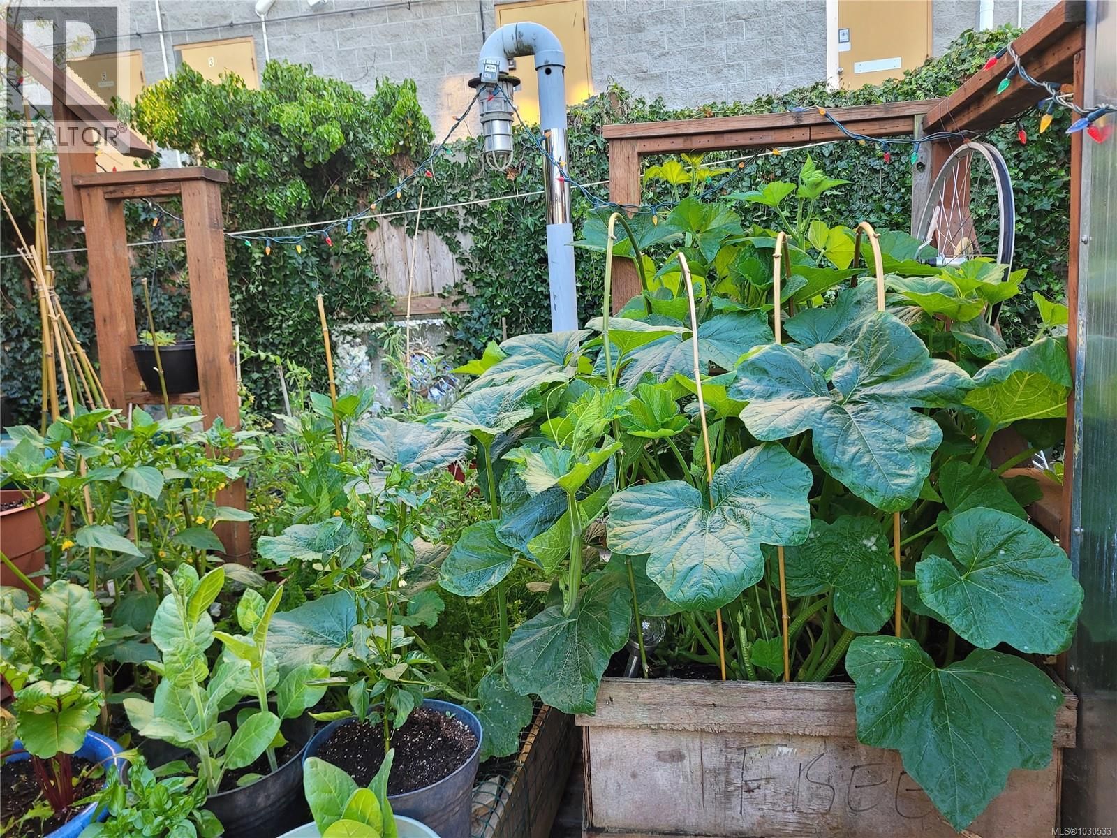 3112 STEELE STREET Image 80