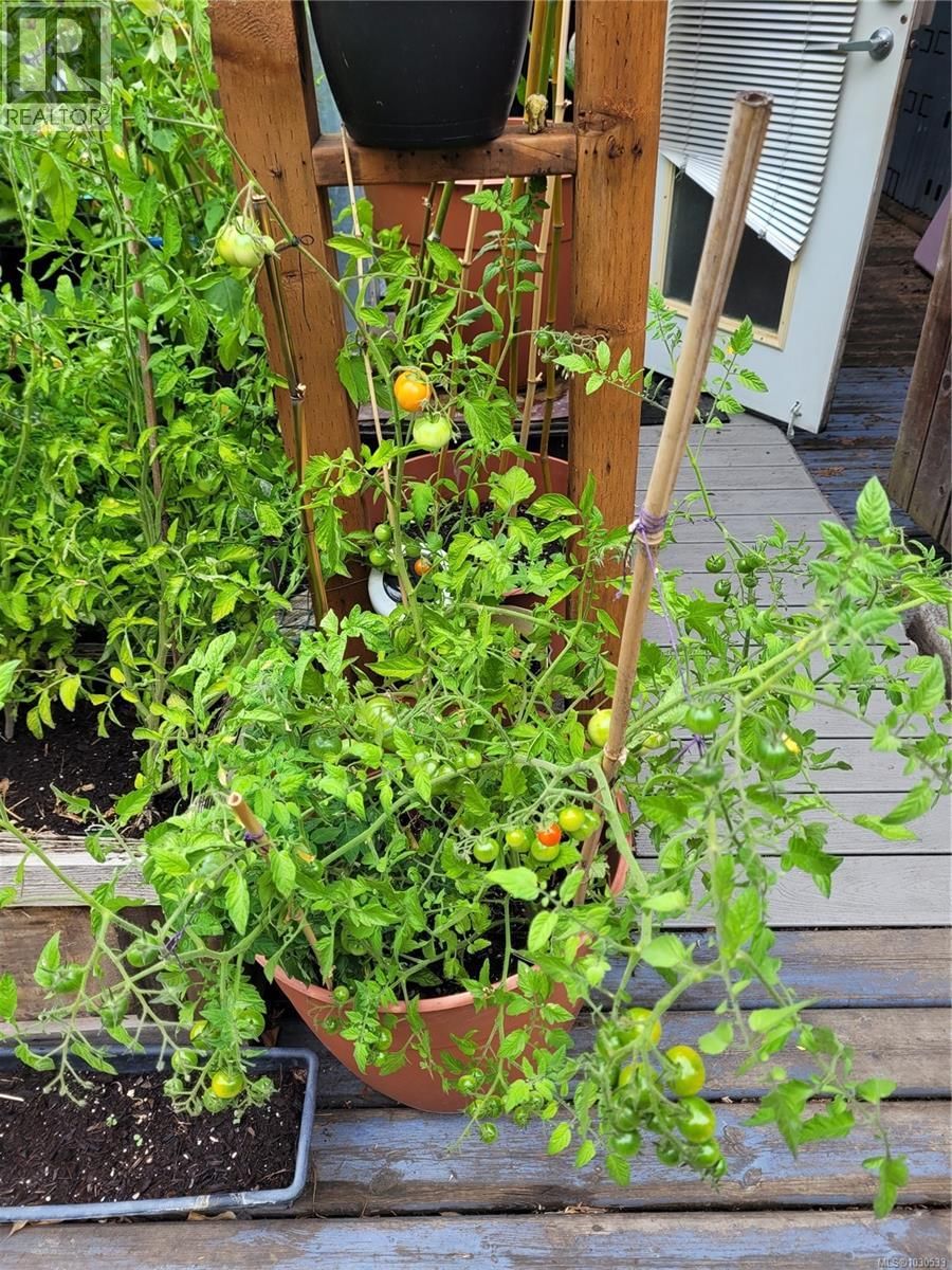 3112 STEELE STREET Image 82