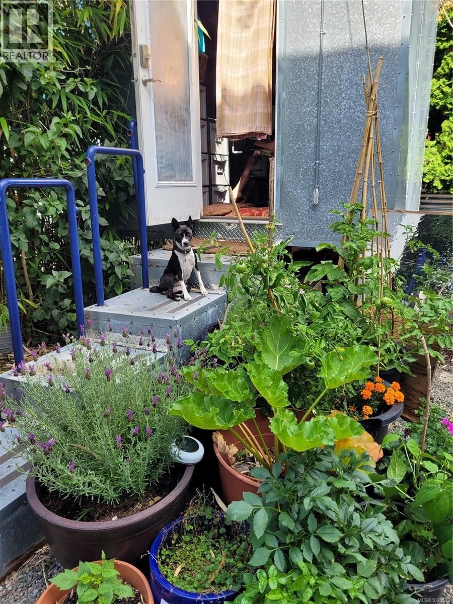 3112 STEELE STREET Image 83