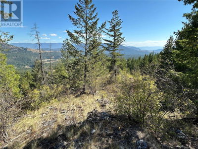 Commercial for Sale in British-columbia