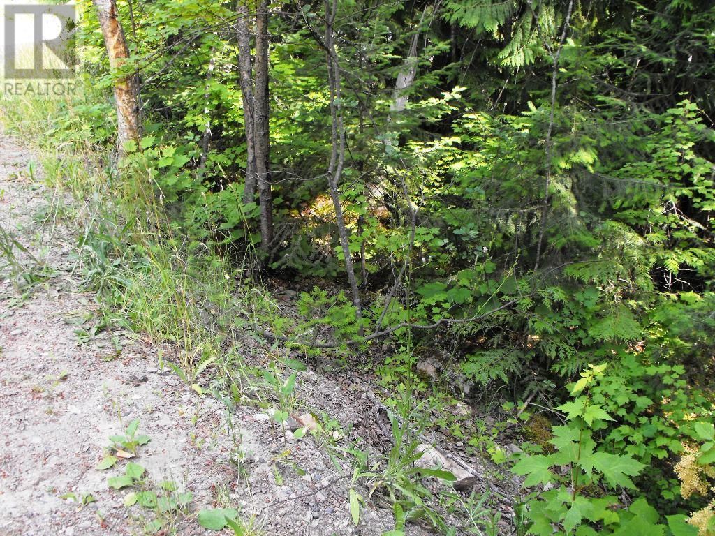 Lot 57 Lonneke Trail Image 6